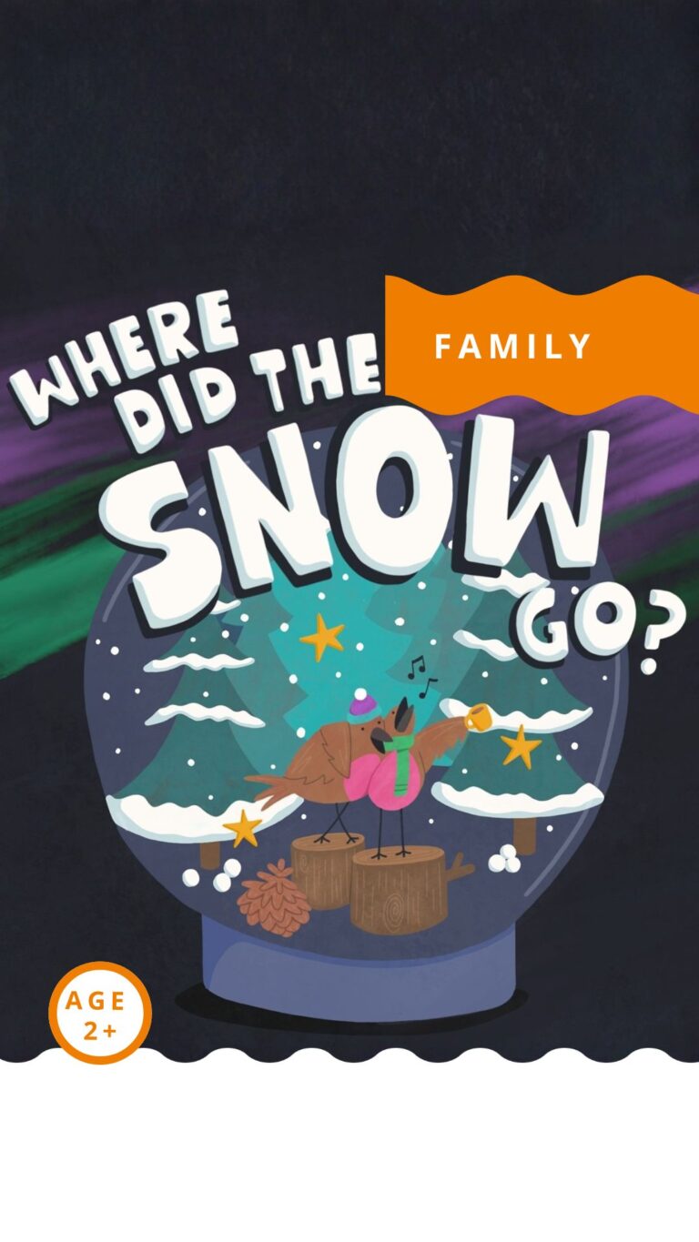 Where Did the Snow Go?